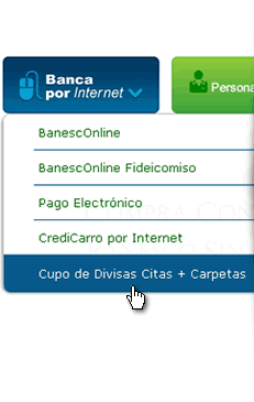 Banca por Internet Cupo de Divisas Citas+Carpetas